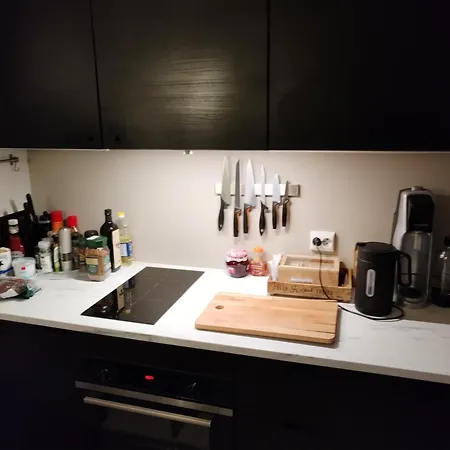 Lyder Sagens Gate 2 Apartament *