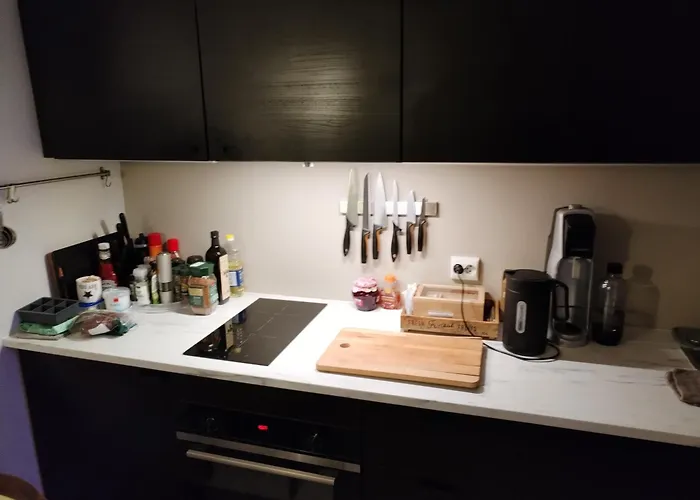 Lyder Sagens Gate 2 Apartament *